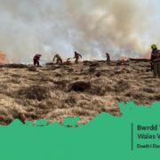 The wildfire board is calling on the public to be wildfire wise