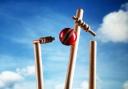 Defeats all round for Penarth Cricket Club