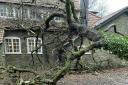 A tree fell on a church in Penarth with children inside