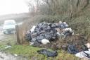 Vale County Council have dealt with a dump a day since November