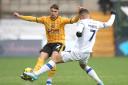 PROMISING: Southampton loanee Lewis Payne in action for Newport County