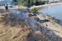 A fire at Friars Point burned up a large amount of grass