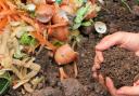 Reduction - Garden waste will be collected once a fortnight in Rochford as part of a pilot study to avoid 'wasteful spending.' Image is from stock.