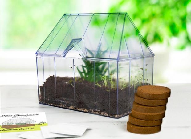 Penarth Times: Mini Greenhouse Kit (Moonpig)