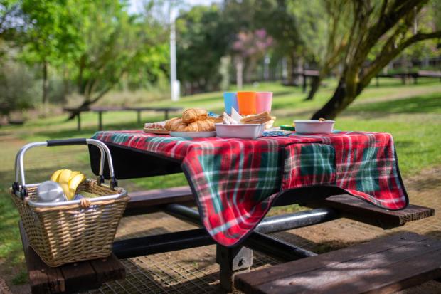 Penarth Times: A picnic laid out on a bench. Credit: Canva