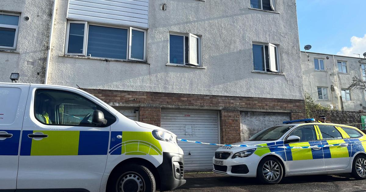 Three remain in custody after baby deaths - Vimarsana News