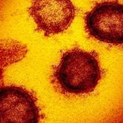 Cases of the coronavirus continue to decline