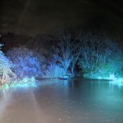 Motorist rescued after car nearly submerged in flood water