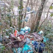 A man was fined after fly-tipping several green bin bags.