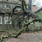 A tree fell on a church in Penarth with children inside