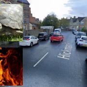 A tortoise was rescued from a fire in Penarth (stock tortoise pictured)