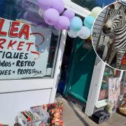 A new flea market taking up vacated shop space in Penarth is on the up