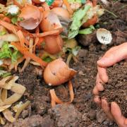 Reduction - Garden waste will be collected once a fortnight in Rochford as part of a pilot study to avoid 'wasteful spending.' Image is from stock.
